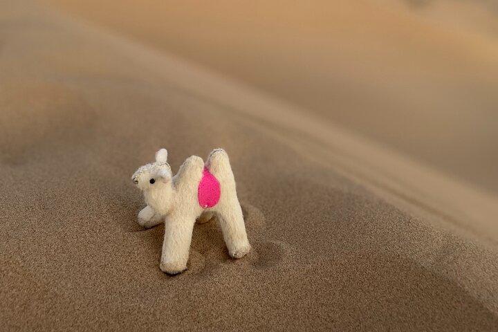 Tour privato del deserto mongolo del Gobi e di Terelj