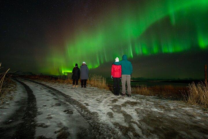 Northern Lights Tours Bodo Noorwegen