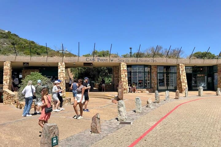 Cape Point and Boulder's Penguins Full Day Tour