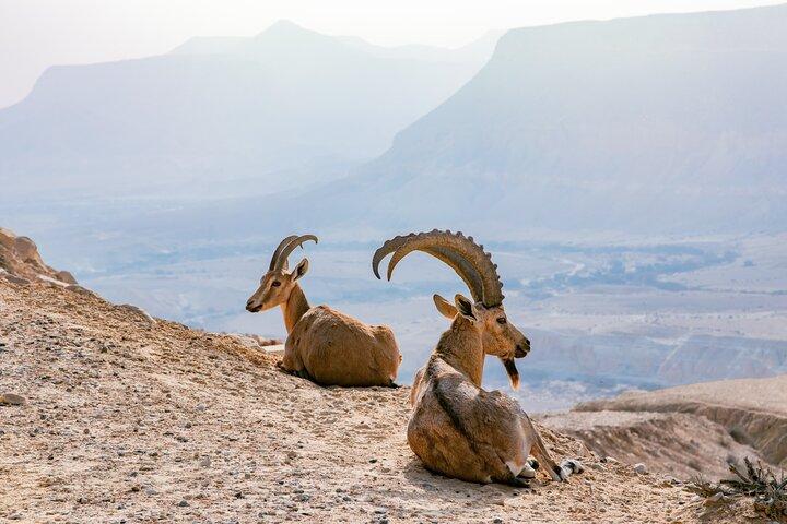 Visite privée de Mascate au Grand Canyon Nizwa