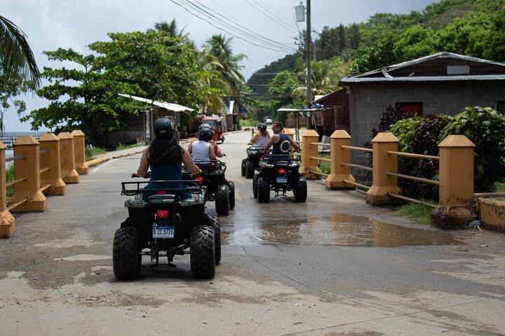 Excursion d'une journée à Roatan : VTT, paresseux, singes et tyrolienne