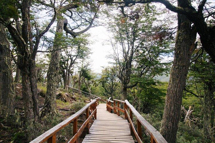 Tour del Parco Nazionale Terra del Fuoco
