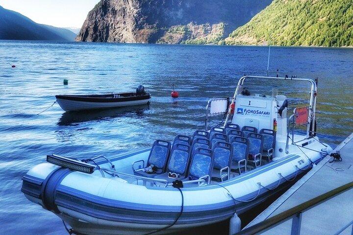 Excursion privée d'une journée à Flåm, y compris le RIB Sognefjord Safari Flåm Railway