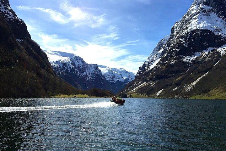 Excursion privée d'une journée à Flåm, y compris le RIB Sognefjord Safari Flåm Railway