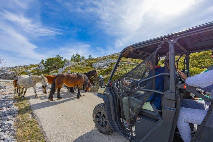 Makarska : Excursion au Baggy Skywalk et au belvédère du Biokovo