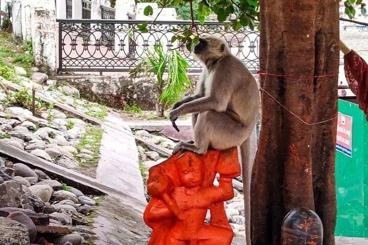 Privé Rishikesh-tour vanuit Delhi