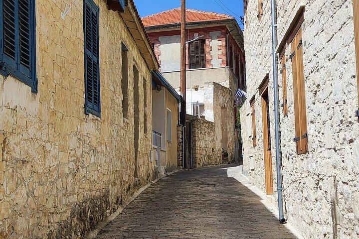 Pafos: Villaggi della montagna di Troodos, visita guidata degustazione vini F/D