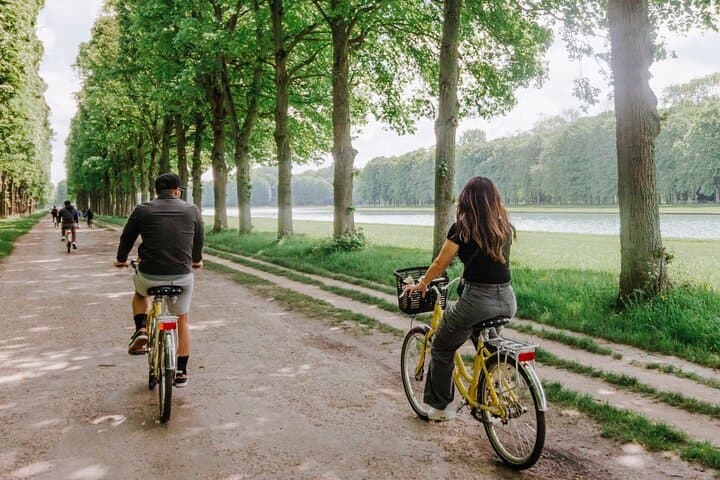 Versailles Domain Bike Tour with Palace Entry by Train from Paris