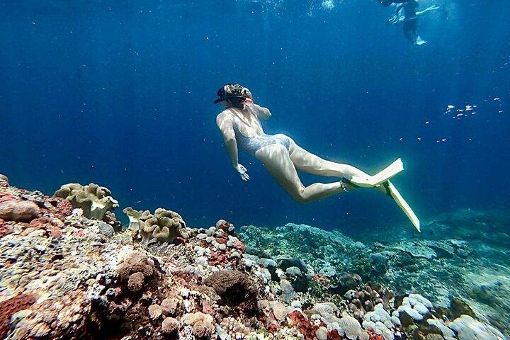 Snorkeling Trips with Manta Ray from Nusa Lembongan