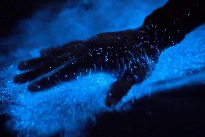 Tour privati al tramonto e sulla bioluminescenza a Cocoa Beach