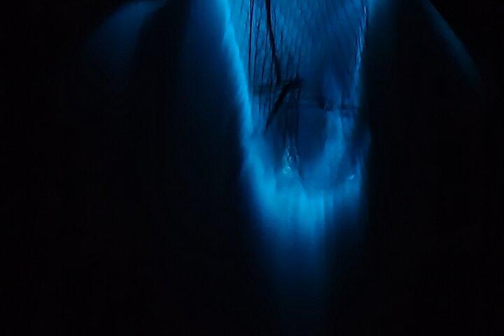 Tour privati al tramonto e sulla bioluminescenza a Cocoa Beach