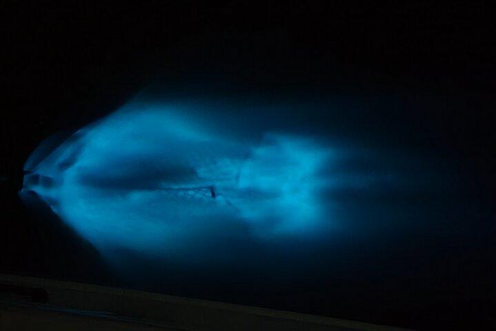 Tour privati al tramonto e sulla bioluminescenza a Cocoa Beach