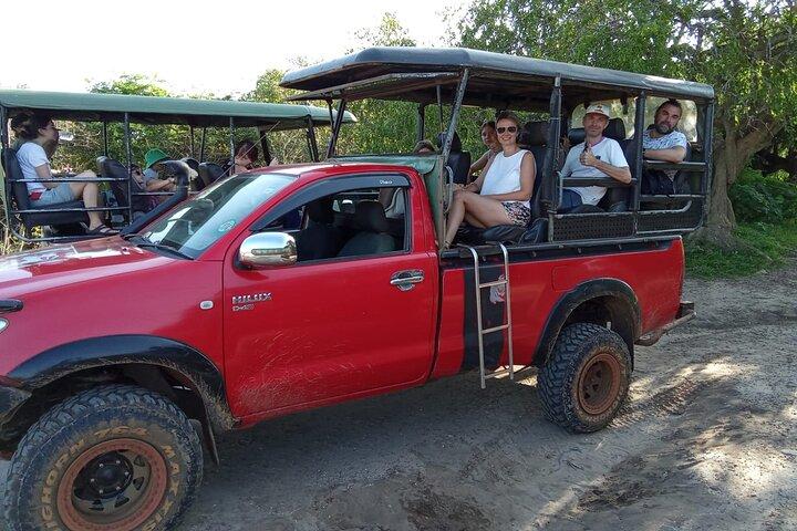 Visite privée de Yala Safari au départ de Colombo/Negombo (Leopard Safari)