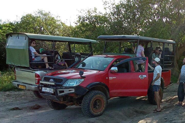 Visite privée de Yala Safari au départ de Colombo/Negombo (Leopard Safari)