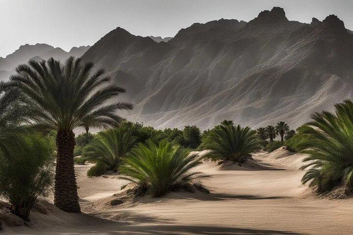 Experimente a Cidade Oásis: Al Ain Tour com Almoço"