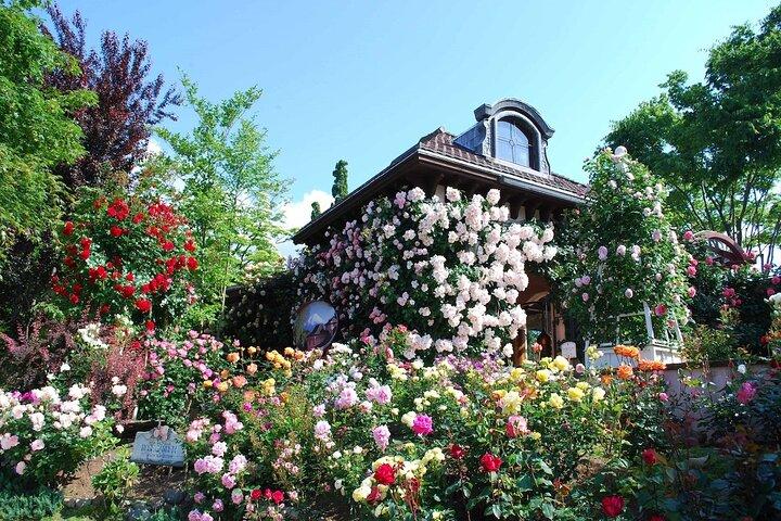 Kawaguchiko Music Forest Museum Admission Ticket