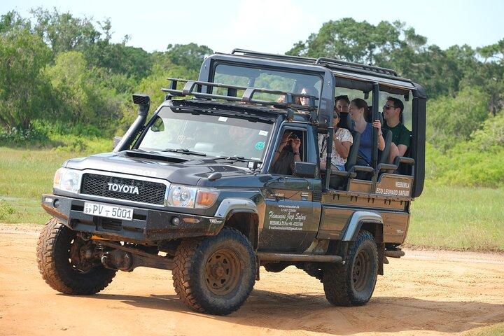 Yala National Park Safari: Excursão guiada especial