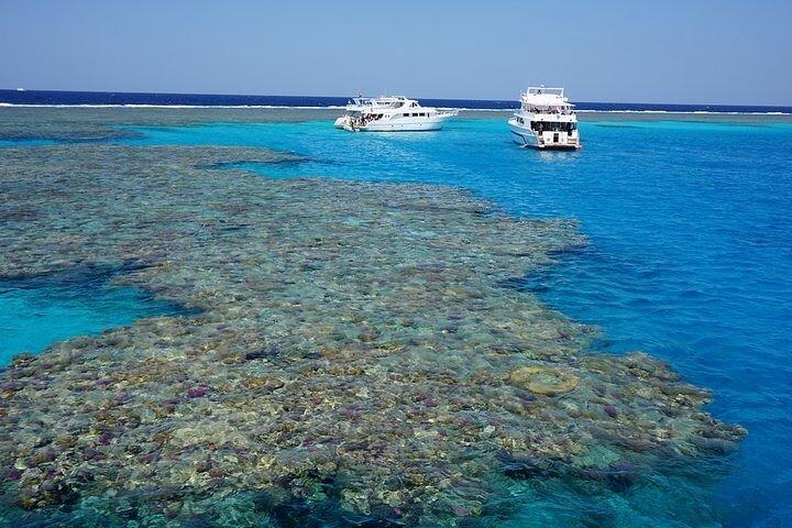 Marsa Mubarak Boat Trip with Dugongs and Turtles From Hurghada