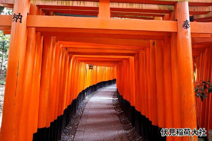 Kyoto Bus Tour: Arashiyama, Kinkaku-ji, Fushimiinari Shrine