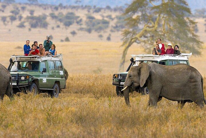 5 giorni a Nairobi Amboseli Tsavo West e Tsavo East National Park