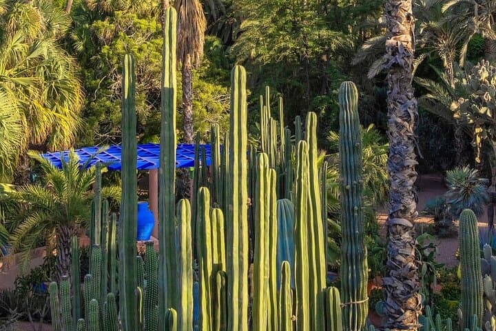 Majorelle Garden, St Laurent and Berber Museum Round Trip Ticket