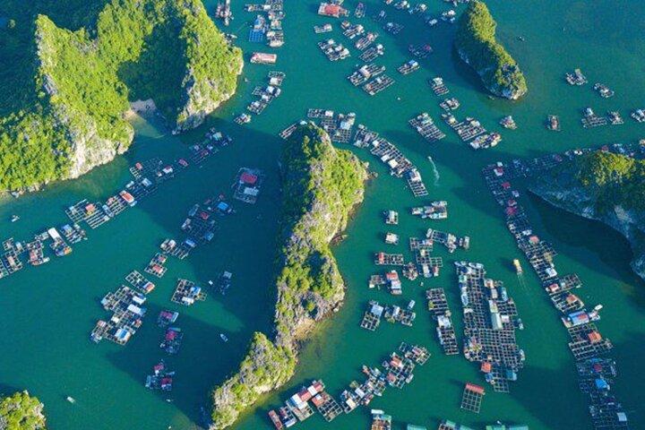 Ganztägige Bootstour im Cat Ba Archipel - Lan Ha Bay mit Mittagessen