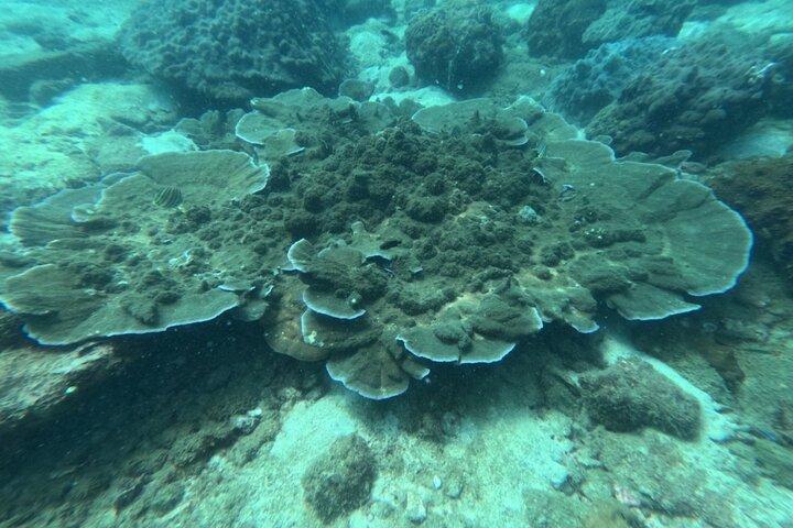 Geweldige Phu Quoc 3-eilandtour per boot en kabelbaan 1 dag