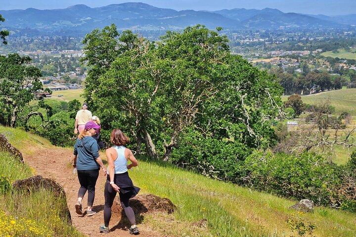 Caminhada em Napa Valley Redwood