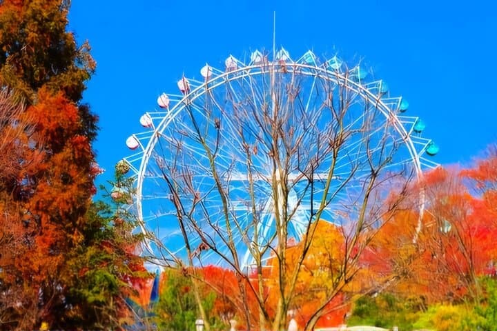Private Round Trip Transfer - Seoul Hotel to Everland Theme Park