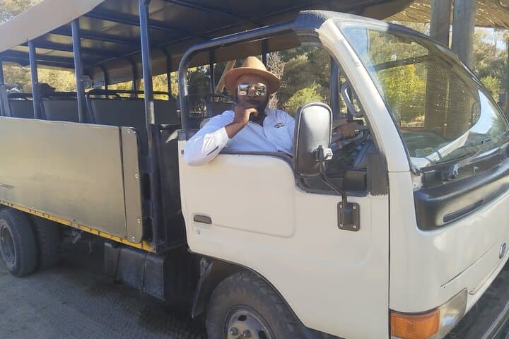 Wildlife Safari & Wine Tasting Tour Experience