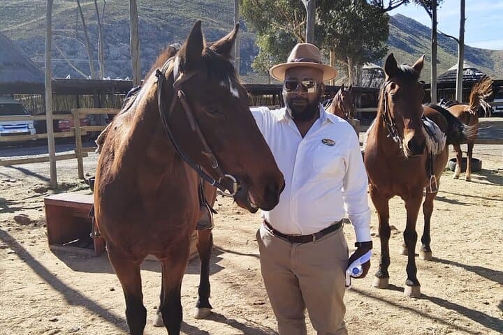 Wildlife Safari & Wine Tasting Tour Experience