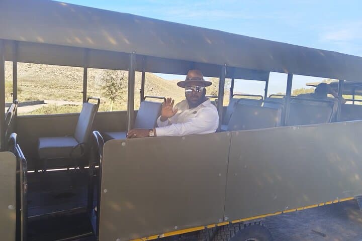 Wildlife Safari & Wine Tasting Tour Experience
