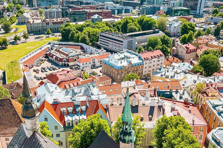 Excursion d'une journée à Tallinn avec salon d'affaires et buffet somptueux