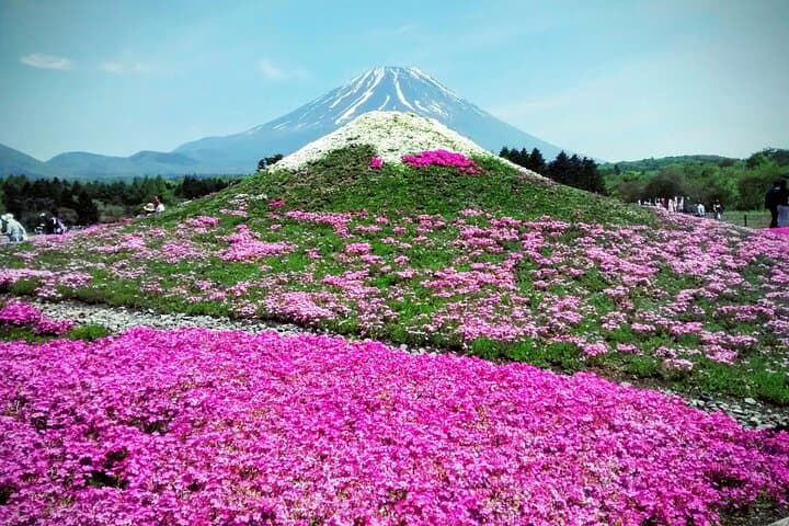 Majestic Mount Fuji: Exclusive Private Day Tour