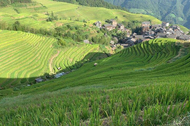 Longji-Reisterrassen – Tagesausflug