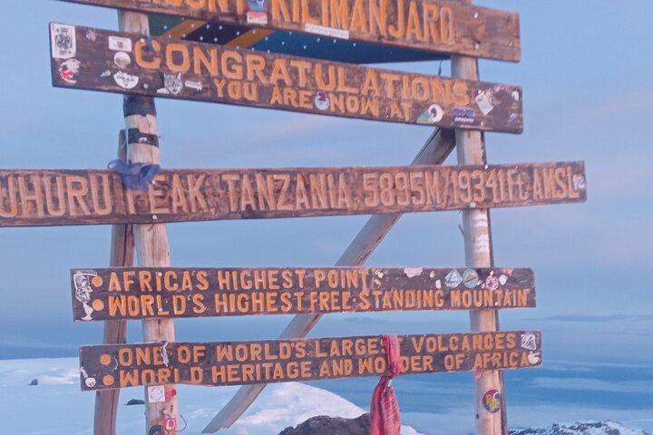7 - Day Machame Route Kilimanjaro Vandring | ISMANI TOURS OCH SAFARIS