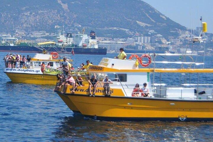 Excursion à Gibraltar et observation des dauphins au départ de Malaga