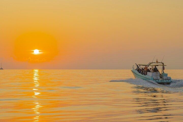 Exclusive Dolphin Watching in Mallorca from Port Alcudia