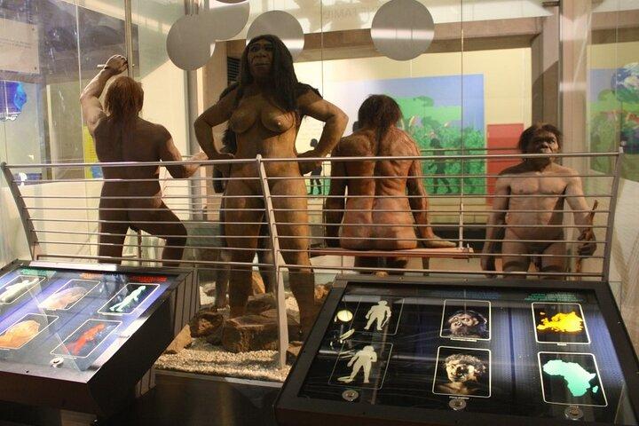 Tour di un'intera giornata alla culla dell'umanità da Pretoria e Johannesburg