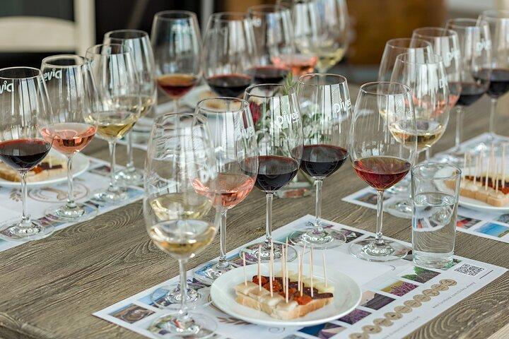 Tour speciale di storia e vino con degustazione di vini