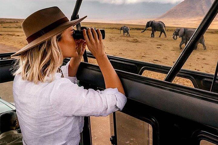 6 dagars privat Tanzania Midrange Safari Adventure