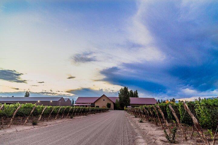 Visita alla cantina Pulenta Estate e pranzo gourmet da Susana Balbo
