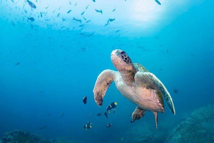 6-dages Galápagos Adventure Tour – start & slut på Baltra Lufthavn