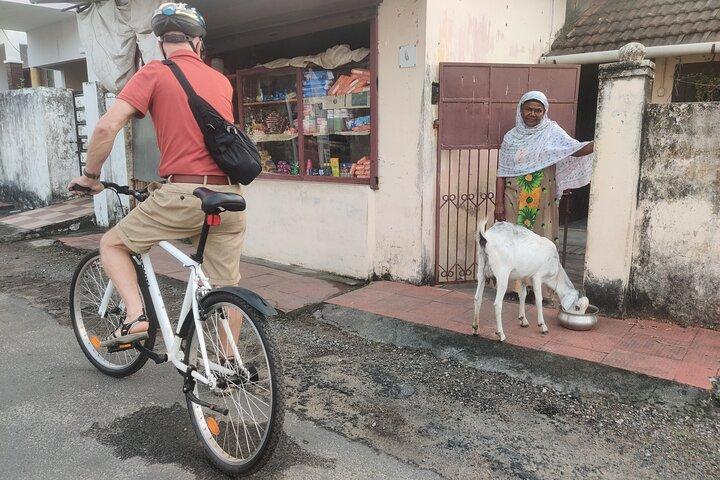 グッドモーニング高知自転車ツアー
