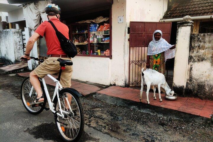 グッドモーニング高知自転車ツアー