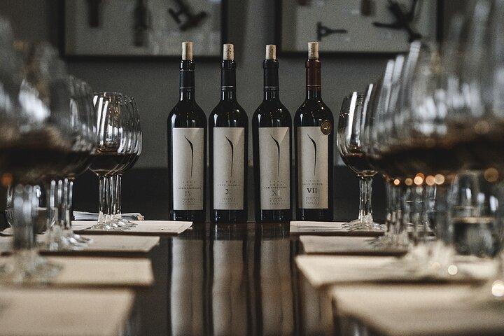 Visita alla cantina Pulenta Estate e pranzo gourmet da Susana Balbo