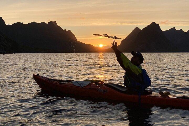 Midnight Sun Kayak à Reinefjord (3 heures)