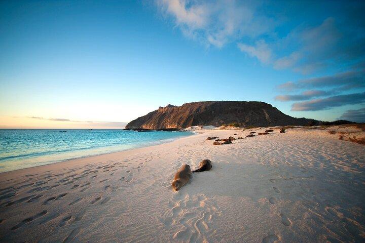 6-dages Galápagos Adventure Tour – start & slut på Baltra Lufthavn
