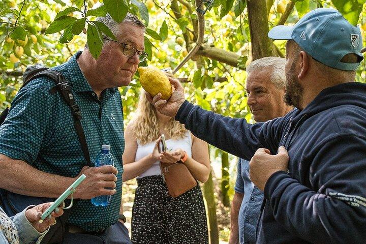 Sorrento Tour : Lemon Garden, spectacle Mozzarella avec Ape Ride