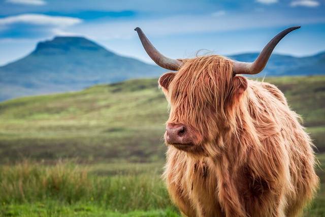Isle of Skye